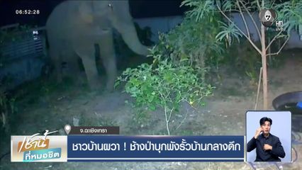 ชาวบ้านผวา ! ช้างป่าบุกพังรั้วบ้านกลางดึก