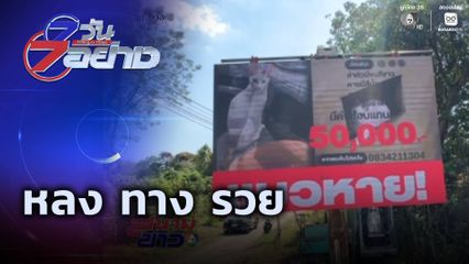 7 วัน 7 อย่าง : หลง ทาง รวย