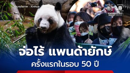 ญี่ปุ่นจ่อไร้ แพนด้ายักษ์ ครั้งแรกในรอบ 50 ปี หลัง เสี่ยวเสี่ยว-เหล่ยเหล่ย เตรียมกลับจีน