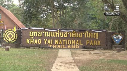 พิธีบวงสรวงเจ้าพ่อเขาใหญ่ ประชาชนร่วมงานจำนวนมาก