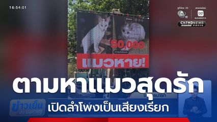 เปิดลำโพง ตามหาแมวสุดรัก