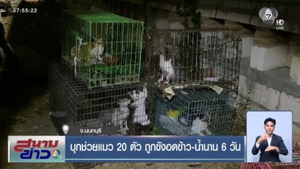บุกช่วยแมว 20 ตัว ถูกขังอดข้าว-น้ำนาน 6 วัน จ.นนทบุรี