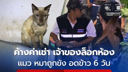มูลนิธิฯ บุกช่วยแมว 20 ตัว ถูกใส่กุญแจล็อกขังไว้ในห้อง อดข้าว 6 วัน