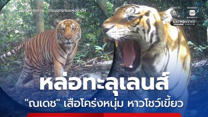 หล่อทะลุเลนส์ “ณเดช” เสือโคร่งหนุ่ม หาวโชว์เขี้ยว