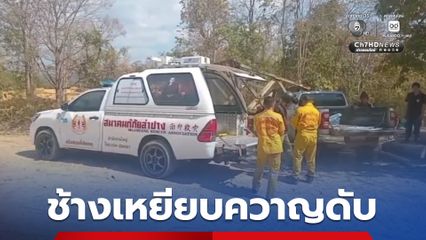 ควาญช้างดับสลด ถูกช้างที่เลี้ยงไว้เหยียบ กระดูกแหลกละเอียด