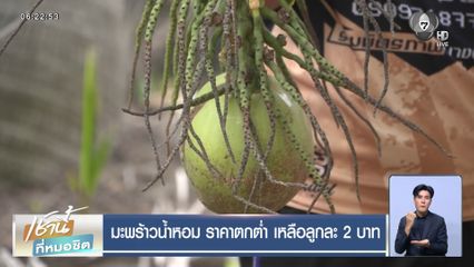 มะพร้าวน้ำหอม ราคาตกต่ำ เหลือลูกละ 2 บาท