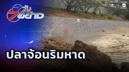 7 วัน 7 อย่าง : ปลาจ้อนริมหาด