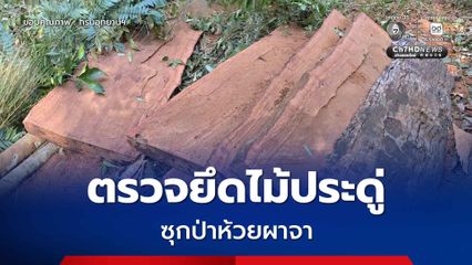 จนท.อช.ถ้ำผาไท สนธิกำลังตรวจยึดไม้ประดู่แปรรูปซุกป่าห้วยผาจา จ.ลำปาง  