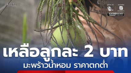 มะพร้าวน้ำหอม ราคาตกต่ำ เหลือลูกละ 2 บาท