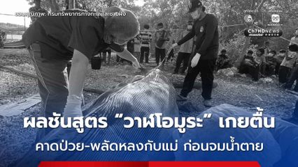 เผยผลชันสูตร “วาฬโอมูระ” เกยตื้นที่ จ.สตูล คาดป่วย-พลัดหลงจากแม่ก่อนจมน้ำตาย