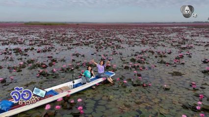 ตามรอย ลิซ่า แห่ชมทะเลบัวแดง