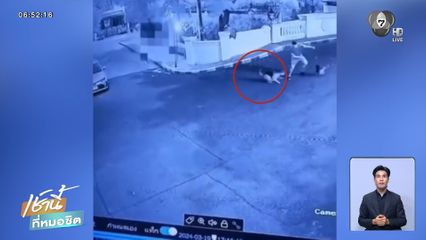 ปัญหาโลกแตก ! หมากัดเพื่อนบ้าน