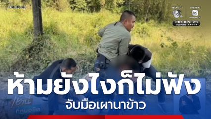 คาหนังคาเขา จับมือเผานาข้าว