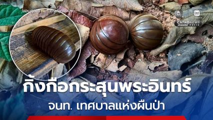 กิ้งกือกระสุนพระอินทร์ เจ้าหน้าที่เทศบาลแห่งผืนป่า