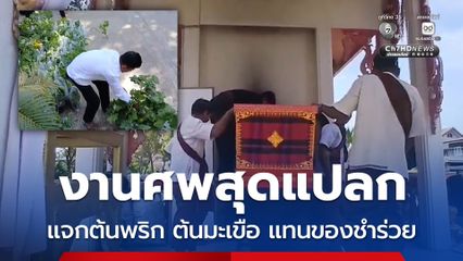 งานศพสุดแปลก แจกต้นพริก ต้นมะเขือ แทนของชำร่วย