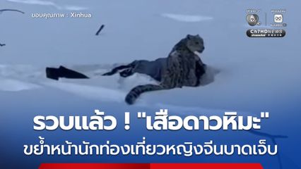 จับตัวได้แล้ว ! “เสือดาวหิมะ” ที่ขย้ำหน้านักท่องเที่ยวหญิง ที่กำลังไปเล่นสกีในพื้นที่อำเภอฟู่อวิ้น ของจีน