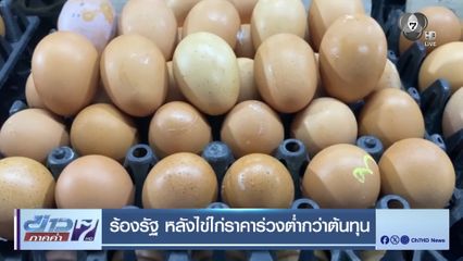 ร้องรัฐ หลังไข่ไก่ราคาร่วงต่ำกว่าต้นทุน