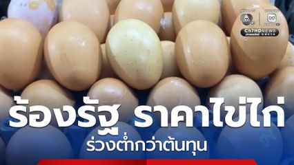 ร้องรัฐ หลังไข่ไก่ราคาร่วงต่ำกว่าต้นทุน