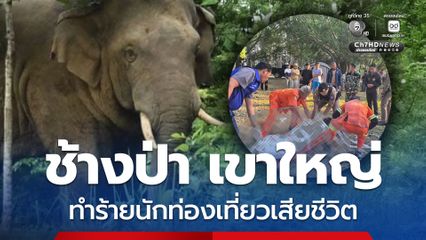 เกิดเหตุช้างป่าเขาใหญ่ตกมันทำร้ายนักท่องเที่ยวเสียชีวิต