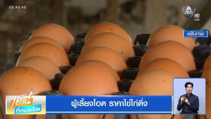 ผู้เลี้ยงโอด ราคาไข่ไก่ดิ่ง