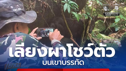 ฮือฮา ! เจอ เลียงผา บนเขาบรรทัด