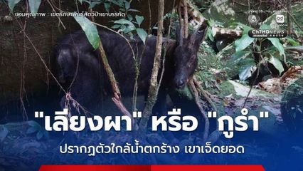 “เลียงผา” หรือ “กูรำ” ปรากฏตัวใกล้น้ำตกร้าง เขาเจ็ดยอด