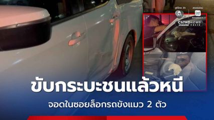 หนุ่มขับรถกระบะชนแล้วหนี จอดในซอยล็อกรถขังแมว 2 ตัว