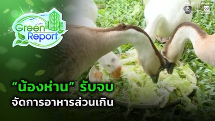 Green Report : “น้องห่าน” รับจบจัดการอาหารส่วนเกิน