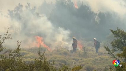 เหตุไฟป่าในอาร์เจนตินา เผาผลาญกว่า 3 แสนไร่