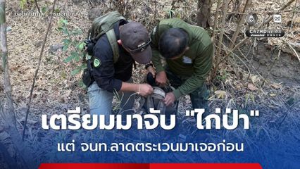 รวบก่อนล่า ! ชายเข้าอุทยานแห่งชาติเอราวัณ เตรียมมาจับ “ไก่ป่า” ดีที่เจ้าหน้าที่เจอตัวก่อน