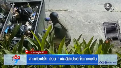 ตามตัวฝรั่ง ป่วน ! พ่นสีสเปรย์ทั่วเกาะพงัน