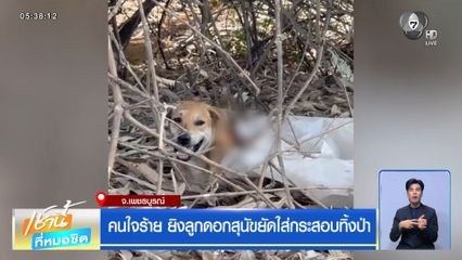 คนใจร้าย ยิงลูกดอกสุนัขยัดใส่กระสอบทิ้งป่า