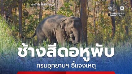 กรมอุทยานฯ ชี้แจงเหตุ “สีดอหูพับ” ล้มระหว่างเคลื่อนย้าย