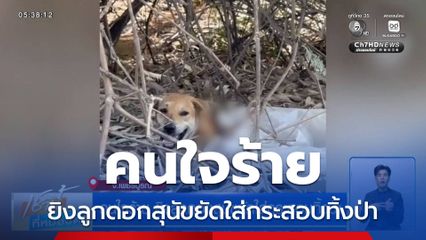 คนใจร้าย ยิงลูกดอกสุนัขยัดใส่กระสอบทิ้งป่า