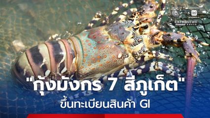 กุ้งมังกร 7 สีภูเก็ต ขึ้นทะเบียน สินค้า GI ลำดับ 4 ของจังหวัด