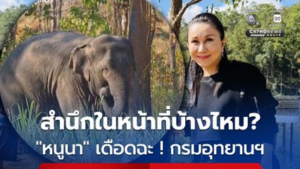 เดือด ! โพสต์ฉะกรมอุทยานฯ ปมสีดอหูพับล้มขณะเคลื่อนย้าย