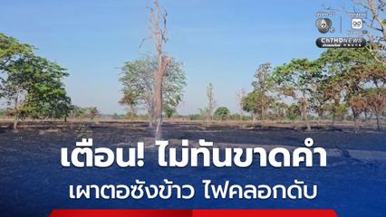 ผู้ใหญ่บ้าน เตือนยังไม่ทันขาดคำ! ตาแอบเผาตอซังข้าว ไฟคลอกตัวเองดับ