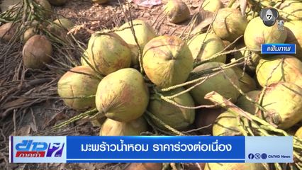 มะพร้าวน้ำหอม ราคาร่วงต่อเนื่อง