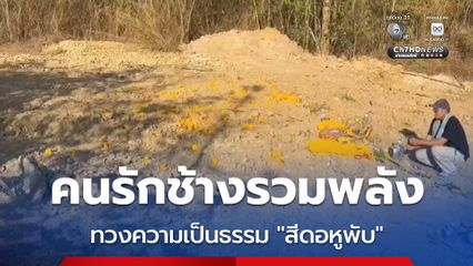 คนรักช้างรวมพลัง ล่ารายชื่อทวงความเป็นธรรม “สีดอหูพับ” ขอรัฐชี้แจงเหตุล้ม-ทบทวนมาตรการเคลื่อนย้ายสัตว์ป่า