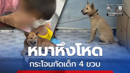 หมาหึงโหด! “ไอ้หลง” ลูกผสมบางแก้ว  กระโจนกัดเด็ก 4 ขวบ