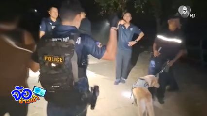 สุนัขดมกลิ่นถึงบ้าน รวบ 3 พี่น้อง ซุกยาบ้ากว่า 3 หมื่นเม็ด