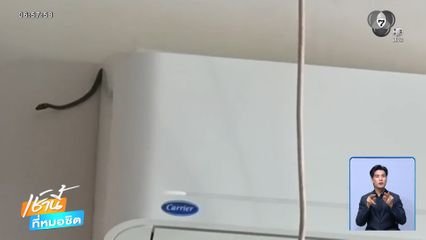 ผวา ! งูเขียว โผล่ยึดแอร์