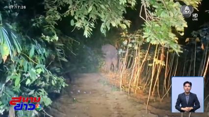 ผลักดันช้างป่า บุกกินพืชไร่ชาวบ้าน จ.นครสวรรค์