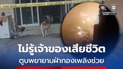 เพลิงไหม้บ้านเจ้าของเสียชีวิต ตูบพยายามฝ่ากองเพลิงช่วย