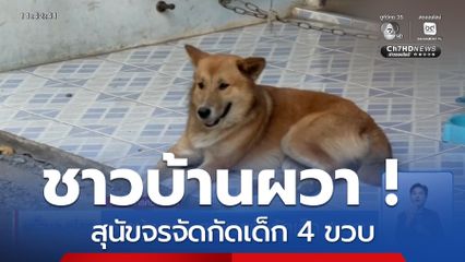 ชาวบ้านผวา สุนัขจรจัดกัดเด็ก 4 ขวบ
