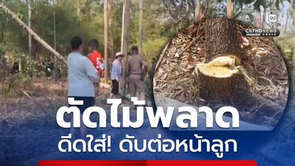 ลุงวัย 64 ปี ตัดต้นไม้พลาด ดีดใส่!เสียชีวิตต่อหน้าลูก