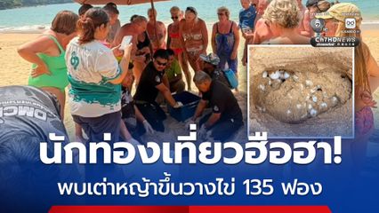 นักท่องเที่ยวฮือฮา พบเต่าหญ้าขึ้นวางไข่ 135 ฟอง
