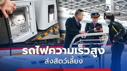 เทศบาลนครฉงชิ่ง ของจีน นำร่องบริการ รถไฟความเร็วสูงส่งสัตว์เลี้ยง เดินทางสะดวกรับเทศกาลตรุษจีน