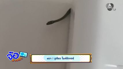 ผวา ! งูเขียว โผล่ยึดแอร์