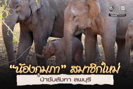 “น้องกุมภา” สมาชิกใหม่ ป่าซับลังกา